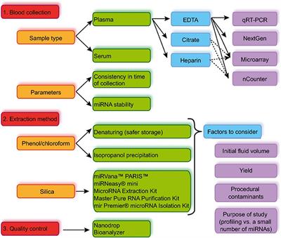 Technological Challenges and Future Issues for the Detection of Circulating MicroRNAs in Patients With Cancer